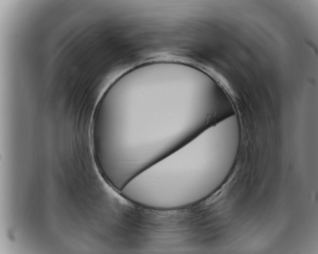 X0000097891247200803140958