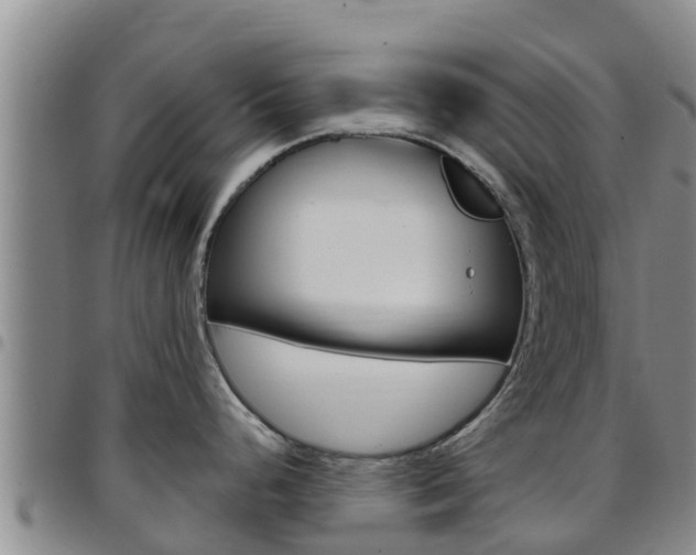 X0000097891248200803140958