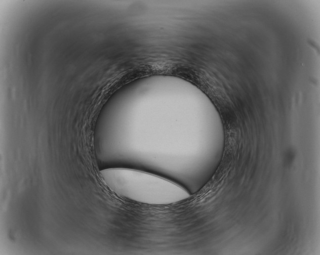 X0000097891249200803140957