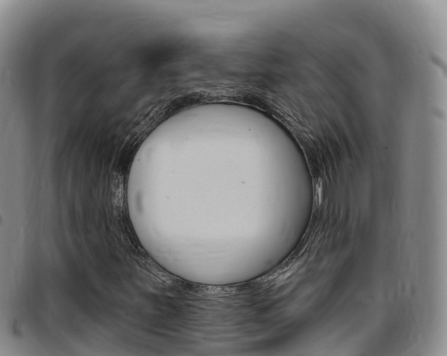 X0000097891251200803140957