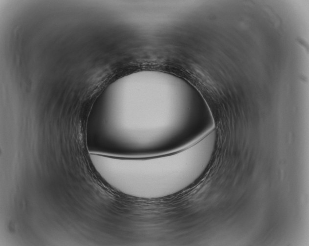 X0000097891252200803140957