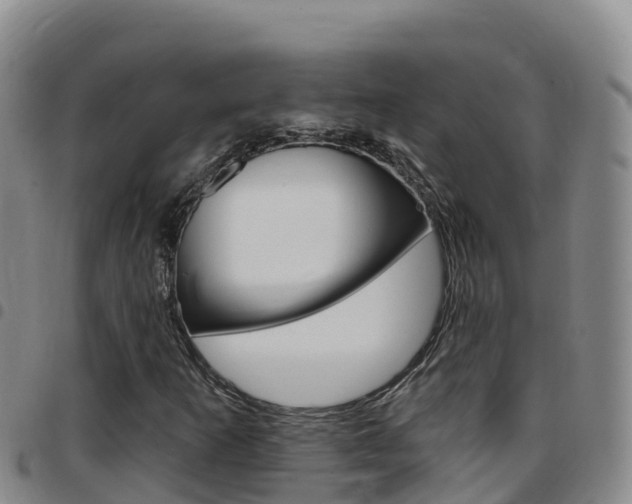 X0000097891253200803140957