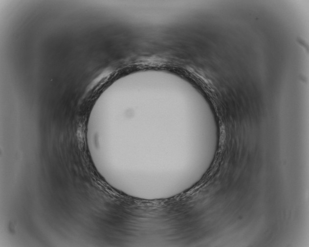 X0000097891254200803140957