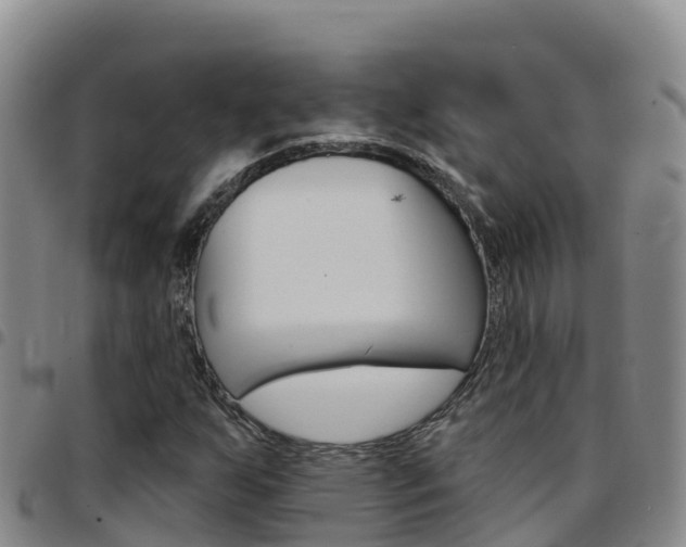 X0000097891255200803140957