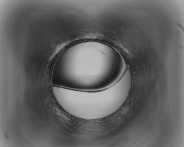 X0000097891256200803140957