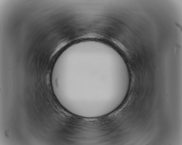 X0000097891258200803140957