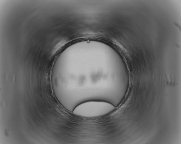 X0000097891259200803140957