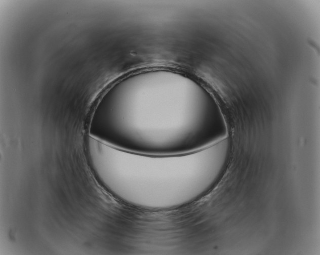 X0000097891260200803140957