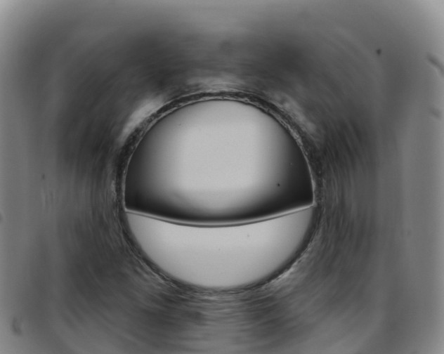 X0000097891261200803140957