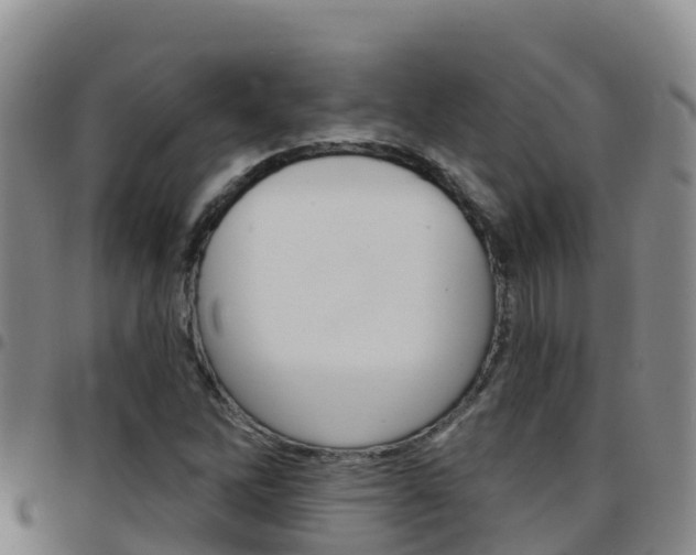 X0000097891262200803140957