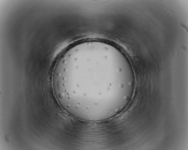 X0000097891263200803140957