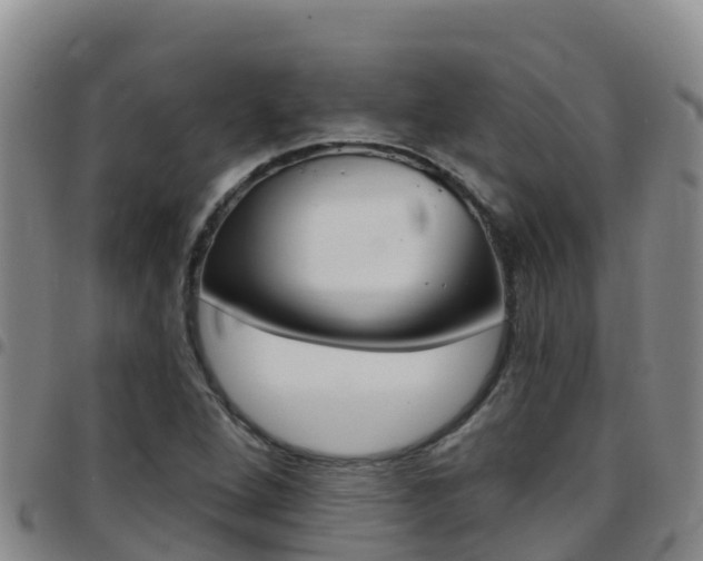 X0000097891264200803140957
