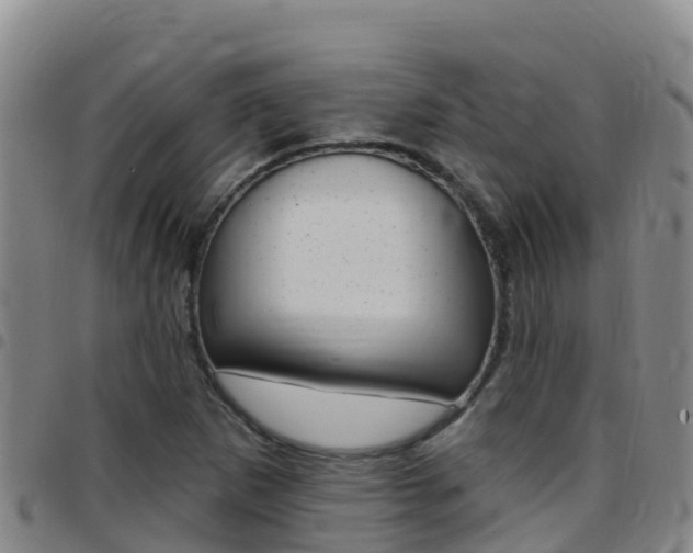 X0000097891265200803140957
