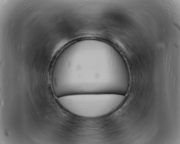 X0000097891267200803140957