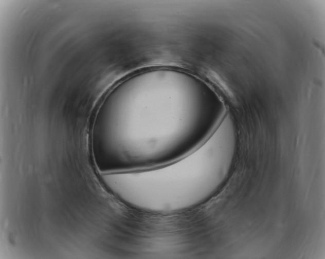 X0000097891268200803140957