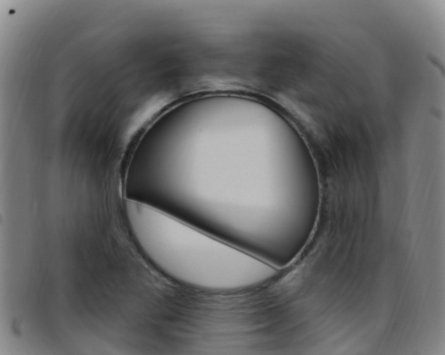 X0000097891269200803140957