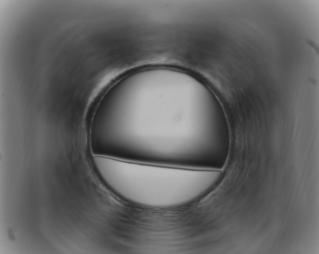 X0000097891270200803140957