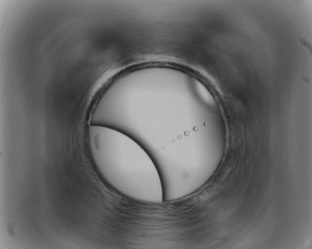 X0000097891271200803140957