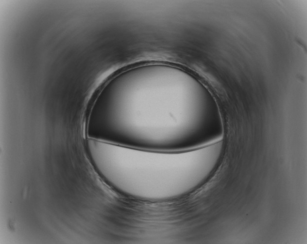 X0000097891272200803140957