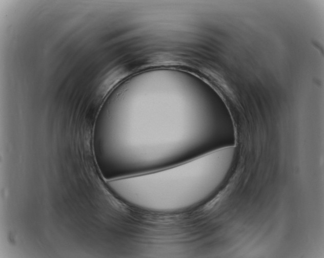 X0000097891273200803140957