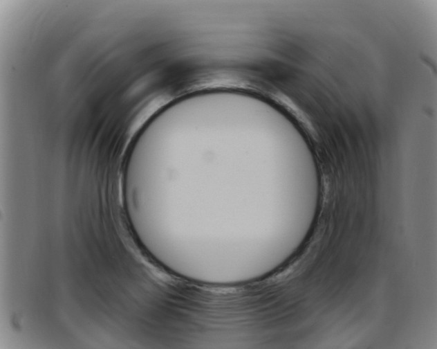 X0000097891274200803140957