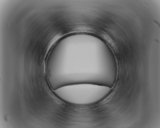 X0000097891275200803140957