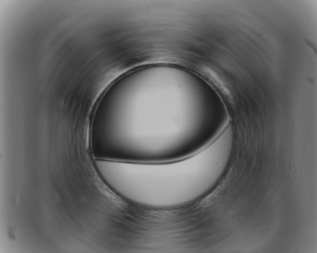 X0000097891276200803140957