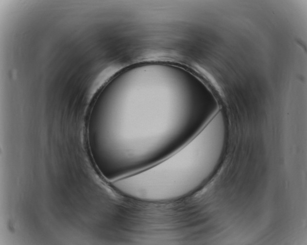 X0000097891277200803140957