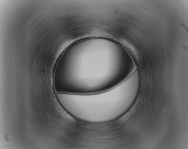 X0000097891280200803140957