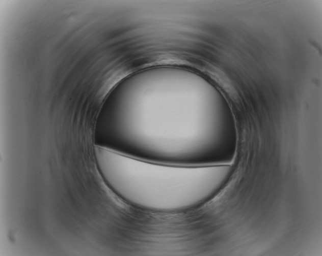 X0000097891281200803140957