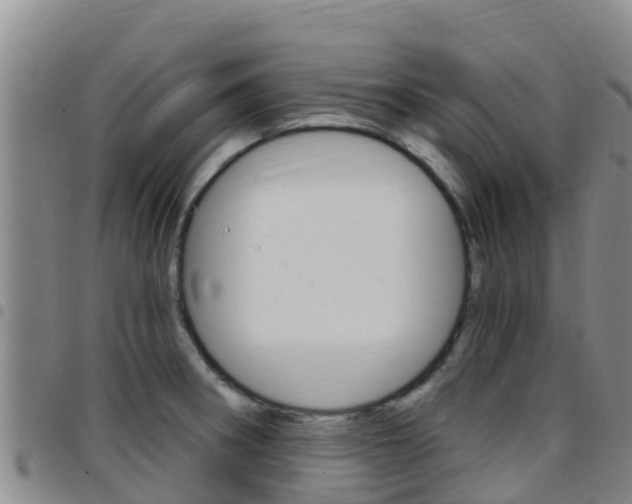 X0000097891282200803140957