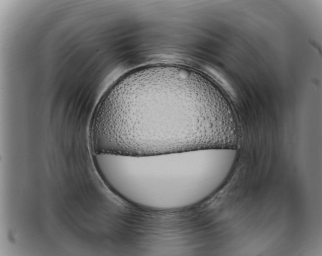 X0000097891283200803140957