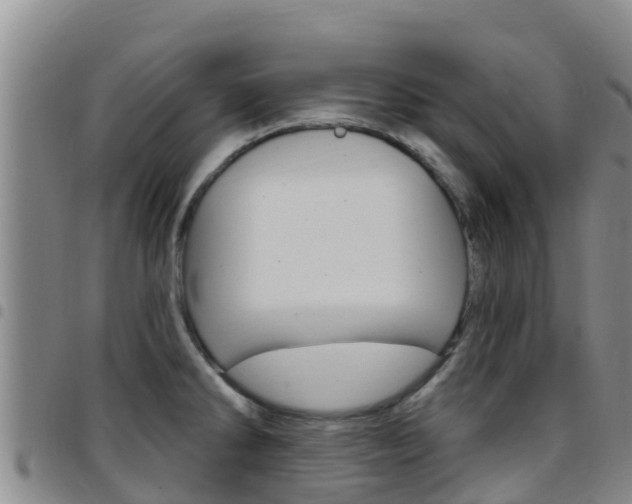 X0000097891286200803140957