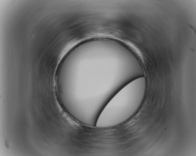 X0000097891287200803140957