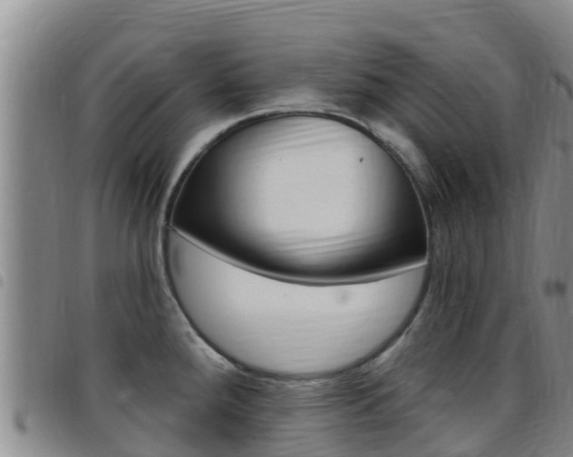 X0000097891288200803140957