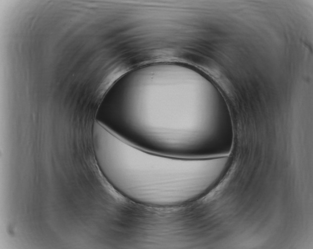 X0000097891289200803140956
