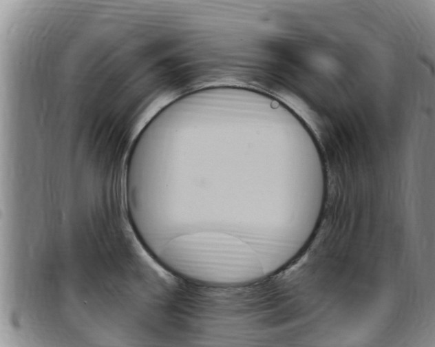 X0000097891290200803140956