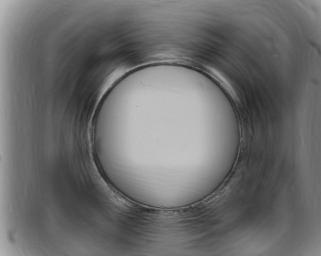 X0000097891291200803140956
