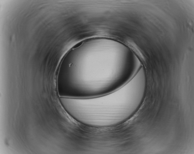 X0000097891292200803140956