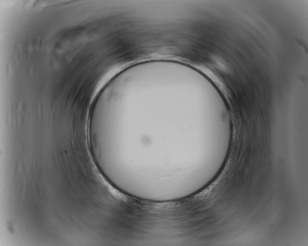 X0000097891294200803140956