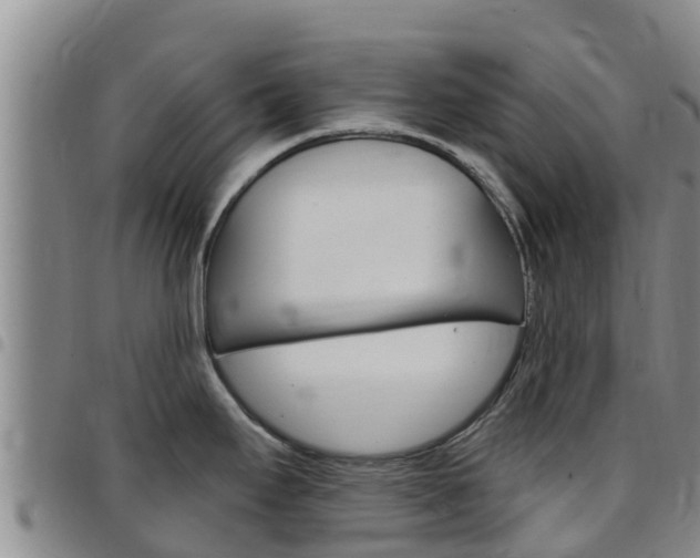 X0000097891295200803140956
