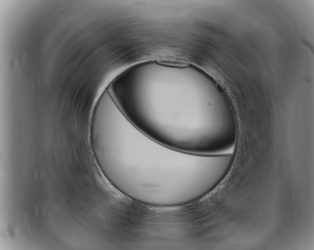 X0000097891296200803140956