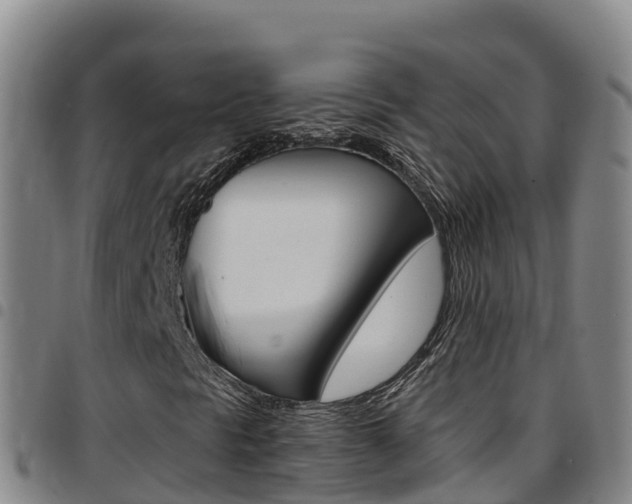 X0000097891297200803140956