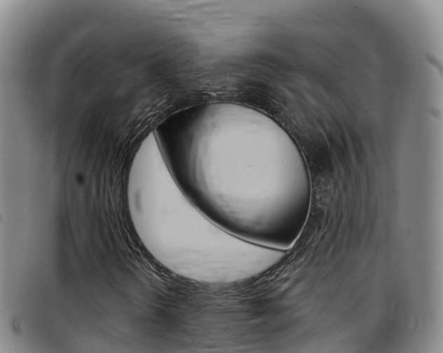 X0000097891298200803140956