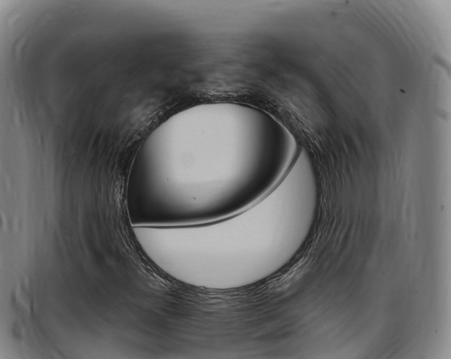X0000097891300200803140956
