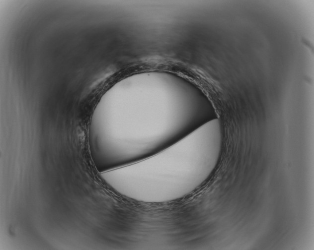 X0000097891302200803140956