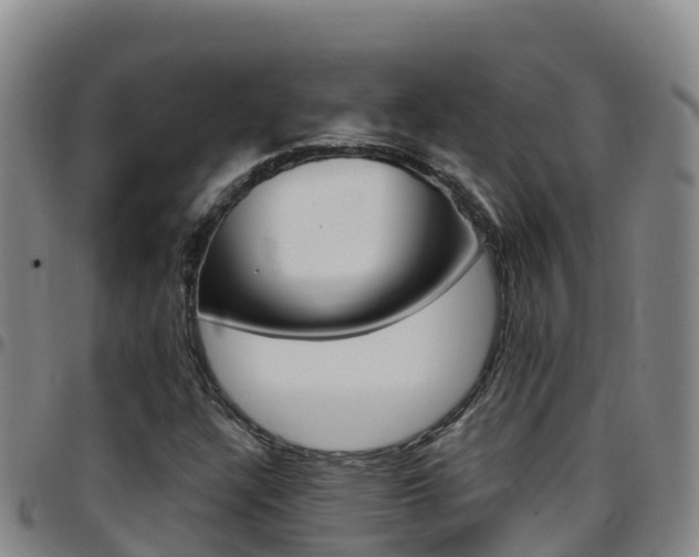 X0000097891304200803140956