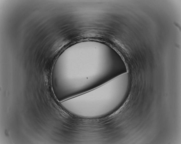 X0000097891305200803140956