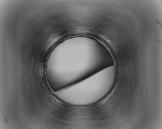 X0000097891306200803140956