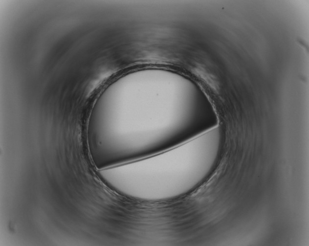 X0000097891307200803140956